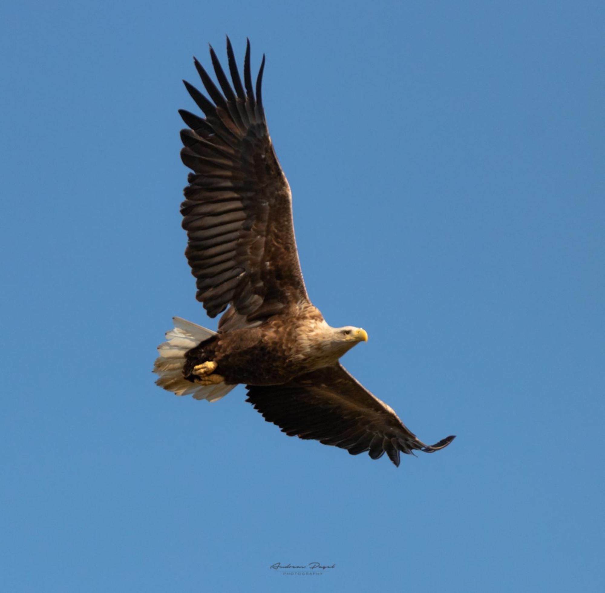 Fewo Seeadler - Heuser Prerow Luaran gambar
